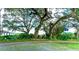 Mature landscaping creates a park-like community entrance at 37338 Sandra Ave, Zephyrhills, FL 33542
