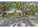 Street view of property showcasing lush trees, a manicured lawn, and the architectural style at 750 Alda Ne Way, St Petersburg, FL 33704