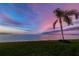 Enjoy waterfront living with serene views from this lush green lawn with a tropical palm tree and vibrant sunset at 8 Glencoe Pl # 305, Dunedin, FL 34698