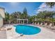 Backyard pool with lounge chairs and lush landscaping offers a private outdoor oasis at 8240 144Th Ln, Seminole, FL 33776