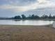 Scenic view of the property's lakefront backyard with lush grass and distant trees at 11524 Sage Canyon Dr, Riverview, FL 33578