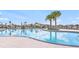 Large community pool, featuring lounge chairs and palm trees at 11524 Sage Canyon Dr, Riverview, FL 33578