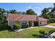 Charming single-story home featuring a well-kept lawn and mature landscaping at 1599 Mcauliffe Ln, Palm Harbor, FL 34683