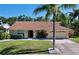 Charming single-story home with a well-manicured lawn and a beautiful palm tree in the front yard at 1599 Mcauliffe Ln, Palm Harbor, FL 34683