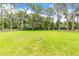A large, fenced backyard featuring mature trees and lush grass at 1675 Robin Hood Ln, Clearwater, FL 33764