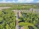 Drone shot of a neighborhood with mature trees and lakes at 17845 Cortes Creek Blvd, Spring Hill, FL 34610