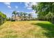 Expansive backyard with lush green grass, mature palm trees, and a black metal fence at 17914 Bramshot Pl, Lutz, FL 33559