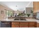 Functional kitchen design featuring plants, a sink, cabinetry, and backyard views at 25942 Risen Star Dr, Wesley Chapel, FL 33544