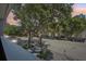 Street view framed by mature shade trees creating a canopy effect with colorful sunset at 301 2Nd N St # 15, St Petersburg, FL 33701