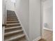 Carpeted staircase leading to an upper level of the home and a partial view of a bathroom at 4523 Foley Grove Dr, Valrico, FL 33596