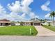 Landscaped front yard of a single-story home, featuring lush green grass, palm trees, and a concrete driveway at 5470 Bayshore Dr, Seminole, FL 33772