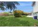 Wide backyard with a lush lawn and landscaping at 6009 Wilshire Dr, Tampa, FL 33615