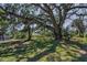 Expansive backyard with mature trees and lush landscaping at 6521 Oelsner St, New Port Richey, FL 34652