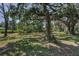Picturesque backyard with mature trees providing ample shade and privacy at 6521 Oelsner St, New Port Richey, FL 34652