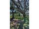 Expansive lawn with mature trees providing shade and natural beauty to the property at 6521 Oelsner St, New Port Richey, FL 34652
