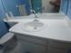 This bathroom features a well-lit vanity with a modern sink at 804 67Th W St, Bradenton, FL 34209