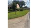 Well-kept lawn and landscaping surrounding this home at 9302 Trowbridge Ct, New Port Richey, FL 34655