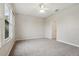 Large bedroom showcasing a large window, neutral color, plush carpeting and lots of natural light at 9329 Huntington Park Way, Tampa, FL 33647