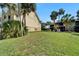 Expansive backyard featuring lush green lawn and mature palm trees perfect for outdoor activities at 1028 Apollo Beach Blvd # 21, Apollo Beach, FL 33572