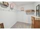 Walk-in closet featuring wire shelving, hanging rods, carpeting, and a dresser at 13603 Wild Ginger St, Riverview, FL 33579