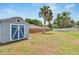 Spacious backyard with a shed and a mature palm tree at 1607 Melodie Dr, Brandon, FL 33510