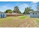 Spacious backyard with a mature palm tree, storage shed, and fencing at 1607 Melodie Dr, Brandon, FL 33510