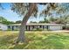 Single-story home featuring a well-manicured lawn and mature tree, perfect for families at 1607 Melodie Dr, Brandon, FL 33510