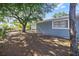 Backyard with a beautiful mature tree and a privacy fence at 2002 Waikiki Way, Tampa, FL 33619