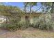 Mature shrubbery creates a natural screen in the yard of this residence at 2724 W Henry Ave, Tampa, FL 33614