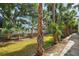 Green backyard boasting lush grass, palm trees, and privacy at 3102 W Horatio St # 13, Tampa, FL 33609