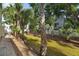 Lush backyard featuring green grass, palm trees, and mature trees at 3102 W Horatio St # 13, Tampa, FL 33609
