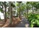 Picturesque walking path in a lush, green community with beautiful views of the water and surrounding trees at 3716 Janus Way, Palm Harbor, FL 34685