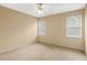 Bright bedroom featuring neutral walls, carpet, a ceiling fan, and two windows with blinds at 4528 Amberly Oaks Ct, Tampa, FL 33614
