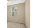 Bright bedroom with natural light streaming through the window at 4528 Amberly Oaks Ct, Tampa, FL 33614