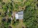 This aerial shot emphasizes the property's ample green space and its position surrounded by a dense canopy of mature trees at 4858 Troydale Rd, Tampa, FL 33615