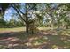 Open backyard with mature trees and a lush lawn, providing ample space for outdoor activities and relaxation at 4858 Troydale Rd, Tampa, FL 33615