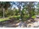 Spacious front yard with mature trees and lush greenery, offering a serene and private atmosphere at 4858 Troydale Rd, Tampa, FL 33615