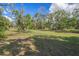 Open grassy area with scattered trees, perfect for outdoor activities and relaxation at 4858 Troydale Rd, Tampa, FL 33615