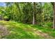 Lush backyard featuring mature trees and a spacious lawn, perfect for outdoor activities and relaxation at 5702 Ainsworth W Ct, Tampa, FL 33647