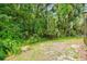 Secluded backyard surrounded by lush trees and foliage, offering privacy and natural beauty at 5702 Ainsworth W Ct, Tampa, FL 33647
