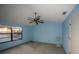 Bright bedroom boasts carpet, blue walls, fan, and natural light from a window at 13218 Parkhurst Ct, Riverview, FL 33569