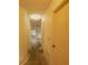 Hallway view, including closet at 13218 Parkhurst Ct, Riverview, FL 33569