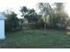 Wide backyard view with grass, scattered foliage, and chain-link fence at 3421 E Powhatan Ave, Tampa, FL 33610