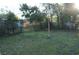 Spacious backyard with green grass, trees, and chain-link fence at 3421 E Powhatan Ave, Tampa, FL 33610