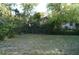Large backyard featuring a chain-link fence and mature trees at 3421 E Powhatan Ave, Tampa, FL 33610
