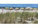 A view of the beach from the tall dune grass, sunbathers under yellow umbrellas in the background at 504 67Th Ave # 4, St Pete Beach, FL 33706