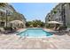 Sparkling community pool with comfortable lounge chairs and shaded umbrellas at 800 S Dakota Ave # 241, Tampa, FL 33606