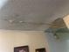 Damaged ceiling and water damage with open ceiling at 8203 N Semmes St, Tampa, FL 33604