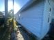 View of the side of the house showing light blue siding with windows and greenery surrounding the house at 8203 N Semmes St, Tampa, FL 33604