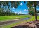 Scenic backyard view of lush green space, tall trees, and serene sky, perfect for enjoying the outdoors at 9500 Green Needle Dr, New Port Richey, FL 34655